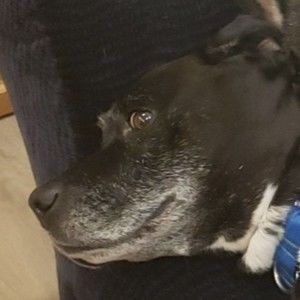 Meet your Posher, Kelaine